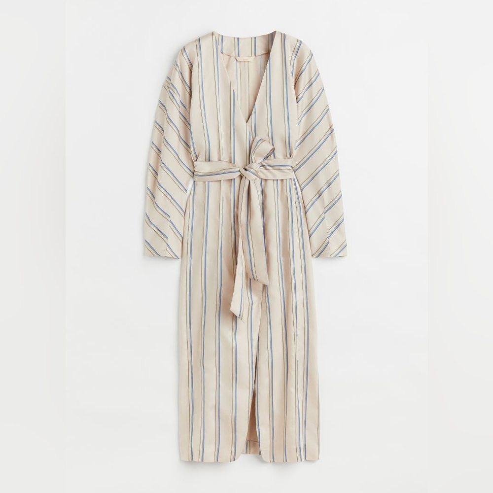 H&M Premium Silk Blend Dress